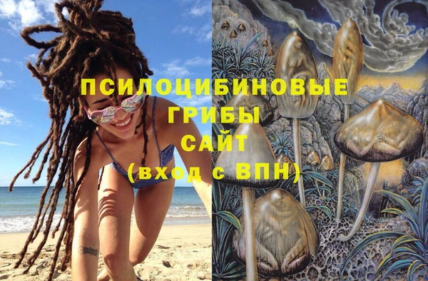 а пвп мука Арсеньев