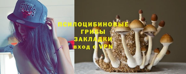 молекула духа Ельня