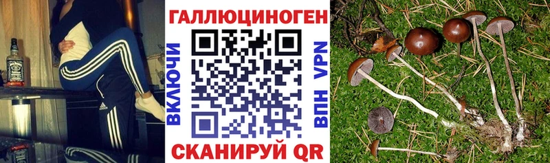 Галлюциногенные грибы Cubensis  дарк нет формула  Оха 